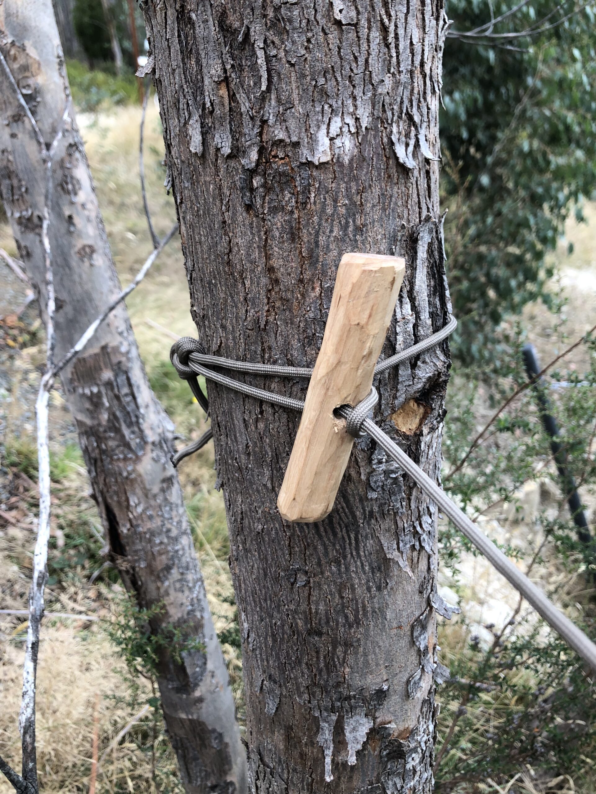 Setting Up New Rapid Ridge-line System – Serat Bushcraft